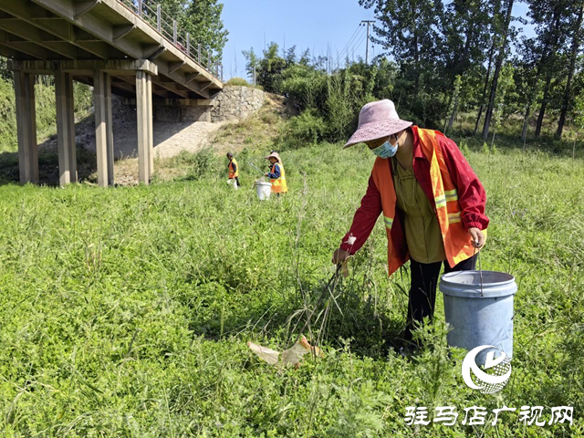 驛城區(qū)水屯鎮(zhèn)：開(kāi)展河道清理整治 守護(hù)水清岸綠美景