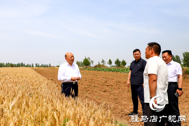 泌陽縣長朱東升調研“三夏”生產(chǎn)工作