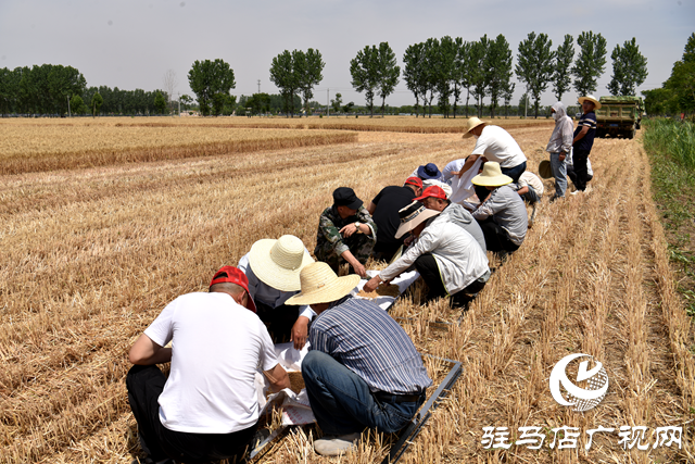 平輿縣組織開展“新型農(nóng)機設(shè)備機收大比武”活動