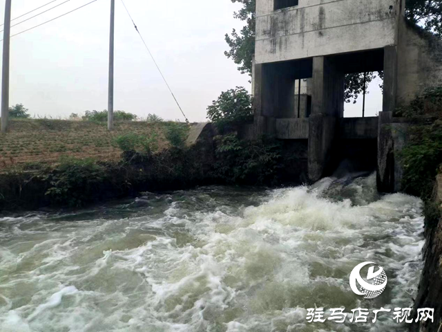 確山縣留莊鎮(zhèn)：抗旱搶種保夏播