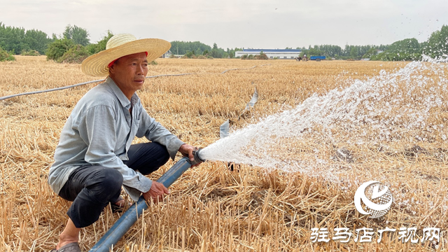 驛城區(qū)華夏種植合作社：不誤農時搶種保秋收