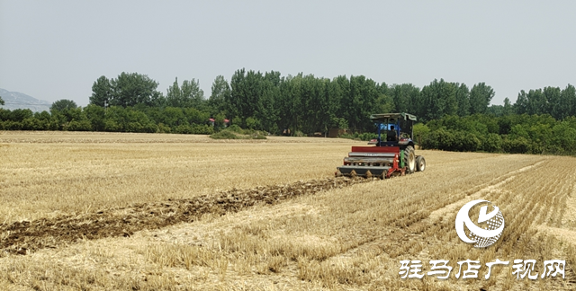 泌陽縣：久旱逢甘霖 輪作搶農(nóng)時