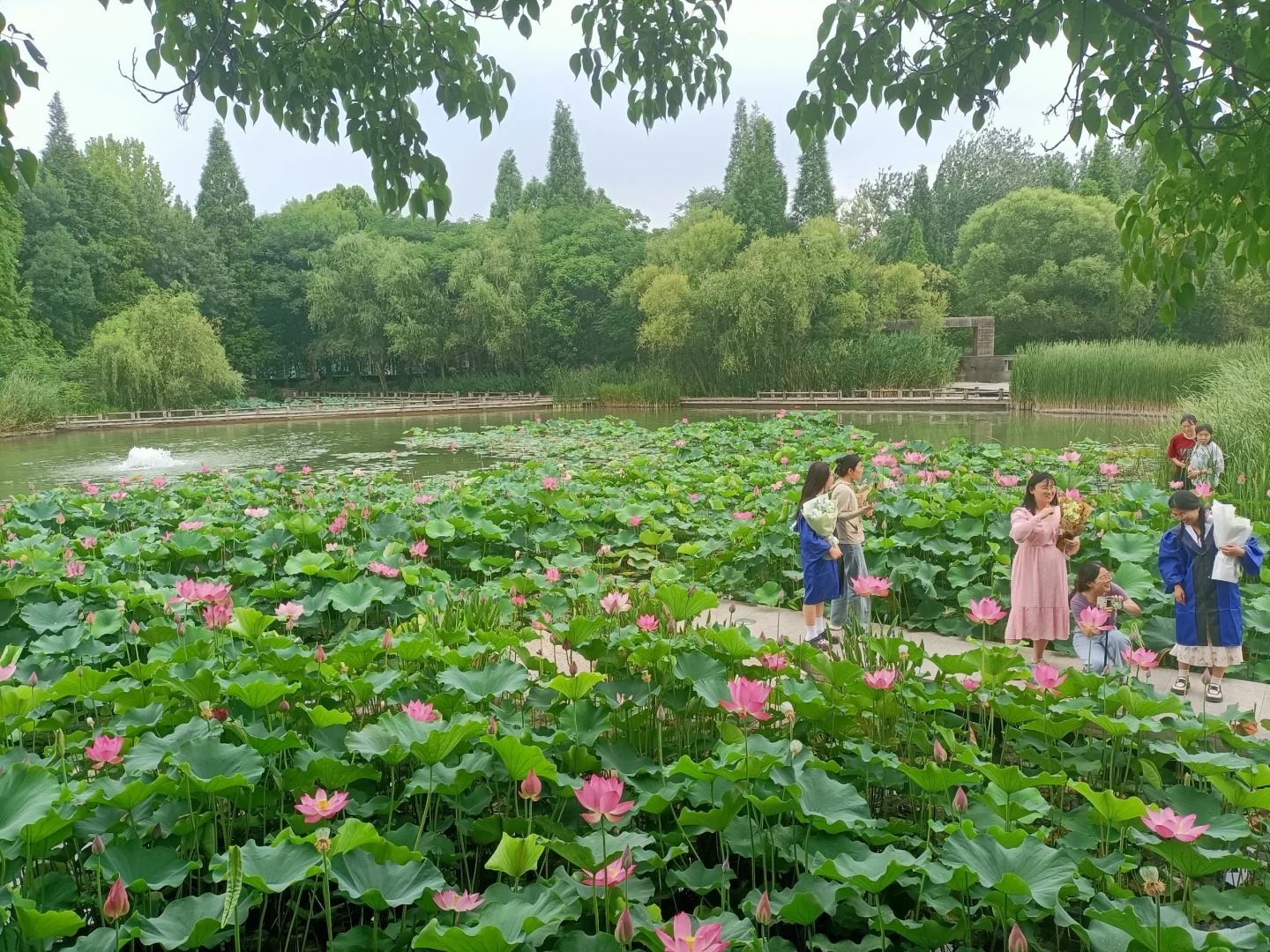 夏至丨萬物盛極時(shí) 美好伴夏生