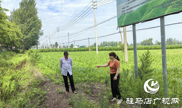 暴雨過(guò)后如何防范農(nóng)田內(nèi)澇？農(nóng)業(yè)專家支招