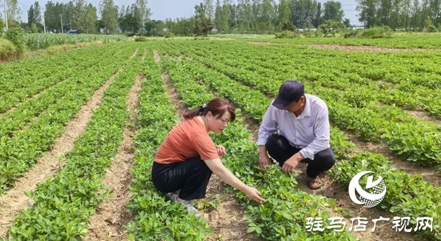 暴雨過(guò)后如何防范農(nóng)田內(nèi)澇？農(nóng)業(yè)專家支招