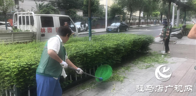 駐馬店經(jīng)濟(jì)開(kāi)發(fā)區(qū)城市管理局雨后綠化精管養(yǎng) 城市景觀煥新顏