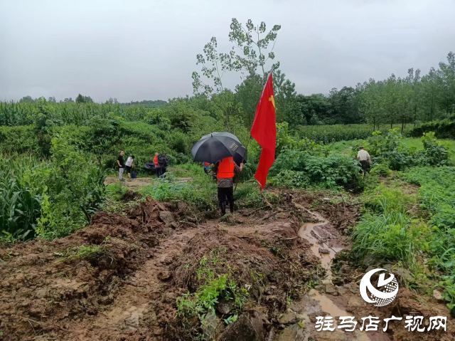 【防汛一線】確山縣石滾河鎮(zhèn)：防汛一線黨旗紅  守土盡責(zé)顯擔(dān)當(dāng)