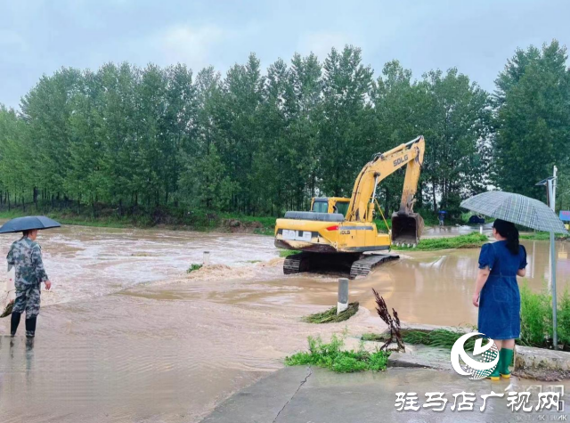 【防汛一線】確山縣石滾河鎮(zhèn)：防汛一線黨旗紅  守土盡責(zé)顯擔(dān)當(dāng)