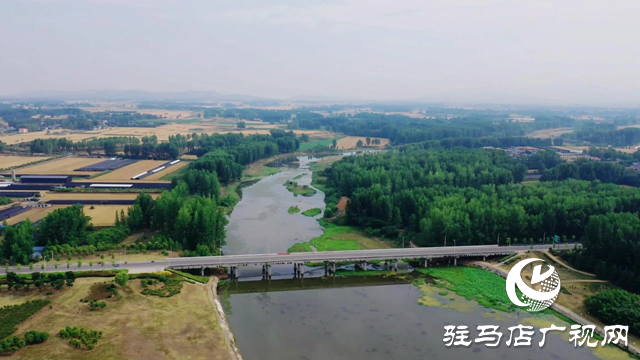 高邑大橋公園：泌陽縣的生態(tài)綠洲 夏日避暑好去處