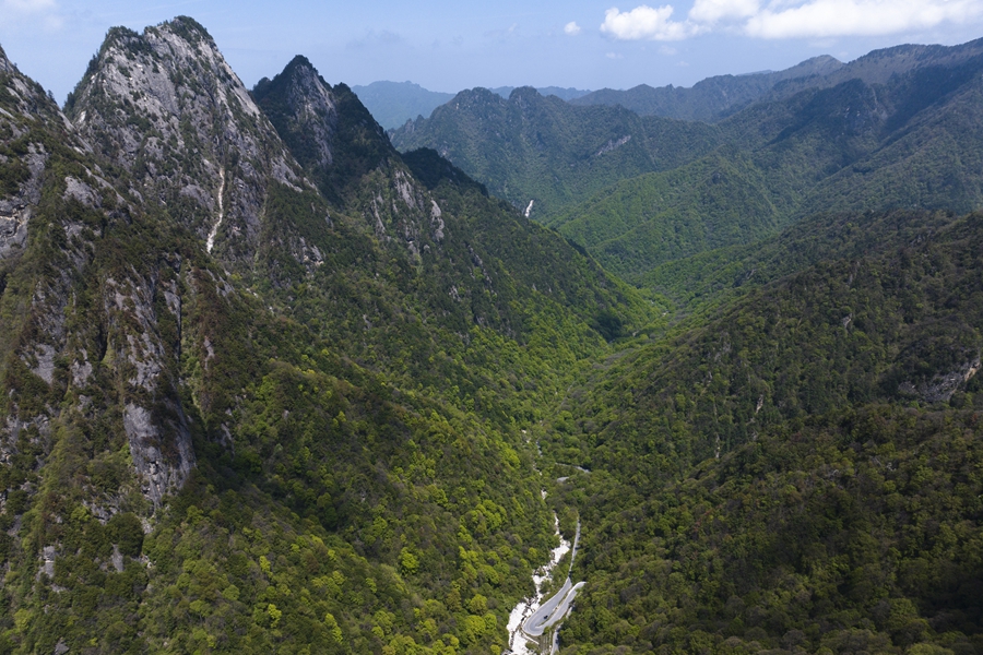 學(xué)習(xí)進(jìn)行時(shí)丨“綠水青山就是金山銀山”——習(xí)近平推動生態(tài)環(huán)境保護(hù)的故事