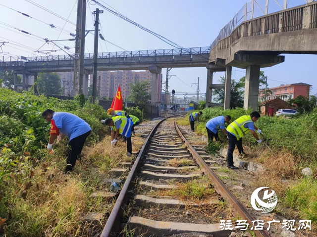 駐馬店車務(wù)段明港車站：不懼高溫消除危樹雜草除隱患