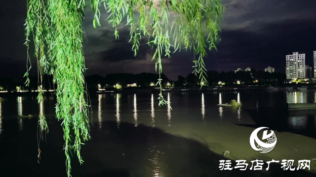 泌陽縣泌水河公園：璀璨燈光扮靚小城夜景