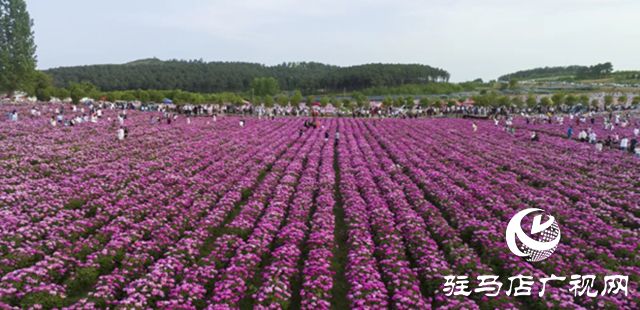 確山縣：叫響特色農(nóng)產(chǎn)品牌