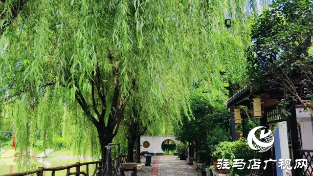 泌陽縣和園：秋色宜人處 風(fēng)光入畫來