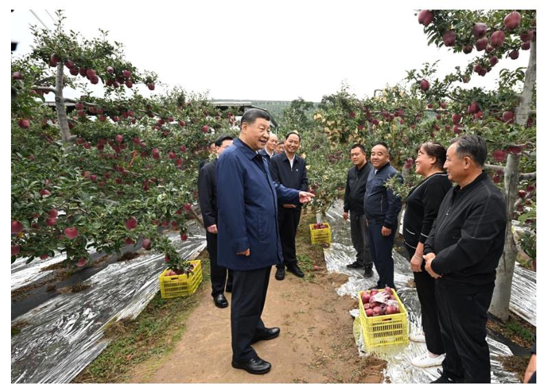 學習進行時丨“讓農(nóng)民腰包越來越鼓、生活越來越美好”——習近平總書記走進田間地頭話“三農(nóng)”