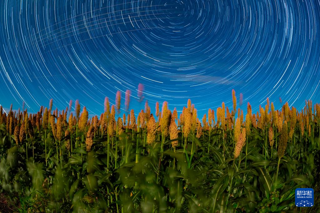 豐收田野“約會”浪漫星空