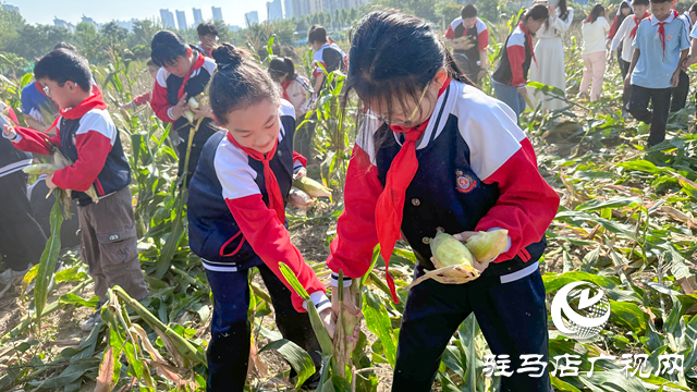 體驗(yàn)豐收快樂(lè) 收獲成長(zhǎng)果實(shí)