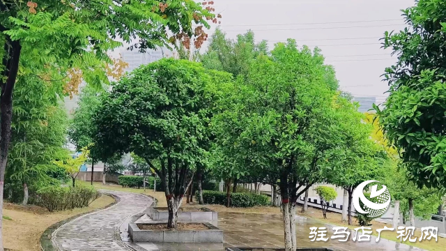 泌陽縣雙龍公園：走進雨中公園 感受濃郁秋意