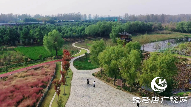 泌陽漢風公園，秋日里的粉色夢境