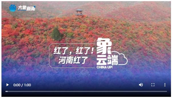 紅了，紅了！河南紅了|象云端