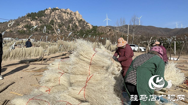 驛城區(qū)：紅薯粉條“曬”出農(nóng)家致富路