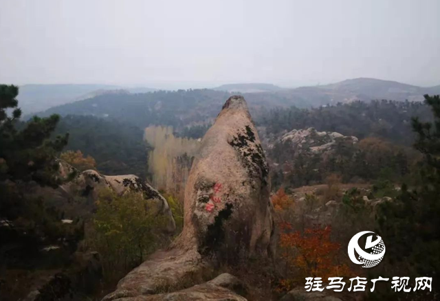 泌陽(yáng)縣巖生植物園：山石秀奇觀 冬日里美如畫卷