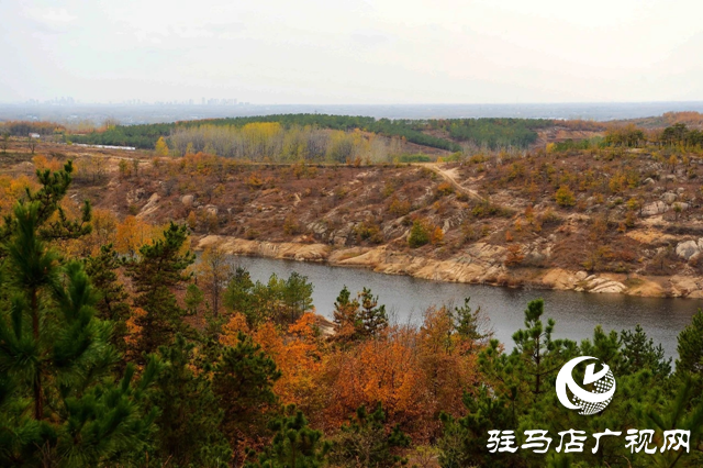 泌陽(yáng)縣巖生植物園：山石秀奇觀 冬日里美如畫卷