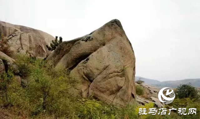 泌陽(yáng)縣巖生植物園：山石秀奇觀 冬日里美如畫卷