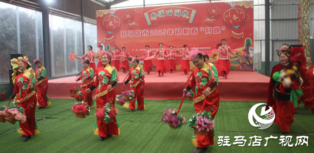 新蔡縣文廣旅局：“村晚”演出迎新春 共賞“非遺”話(huà)傳承