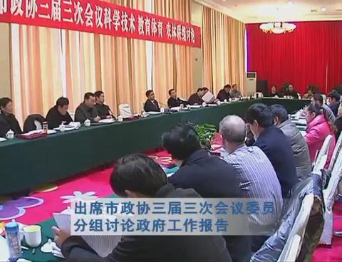 武國定出席市政協三屆三次會議委員分組討論政府工作報告