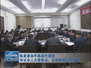 陳星參加平輿代表團(tuán)審議市人大常委會(huì)、法檢兩院工作報(bào)